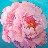 Peony