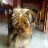 fedechica