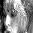 user3147