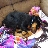 BeauceronsRock