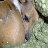 tonie2weeks
