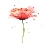 anicka22
