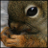 tiggerkitn25