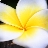 Busymumto5