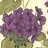 user3559