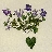naturenerd3