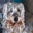 namabear