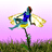 scottishrosefaerie