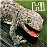 Lizardbeth
