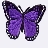 Purplebutterfly
