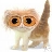 user5338