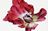 user538
