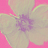 user5532