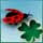 WishingOnClovers