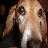 user5948