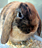 FranieFrouFrou
