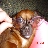 user7631