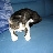 user7848