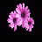 PurpleLK