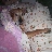 quietdreams