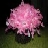 CrochetCupcake