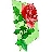 redrose2007